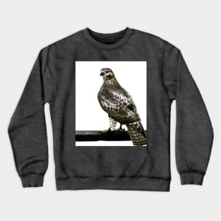 Hawk Crewneck Sweatshirt